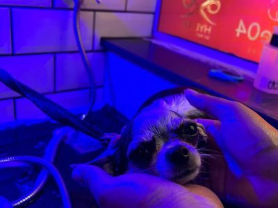 WhatsApp Image 2024-12-03 at 18.51.26