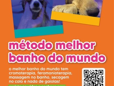 WhatsApp Image 2024-12-03 at 18.51.52