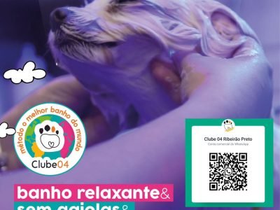 WhatsApp Image 2024-12-03 at 18.52.04